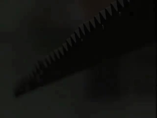 濛濛细雨忆当年