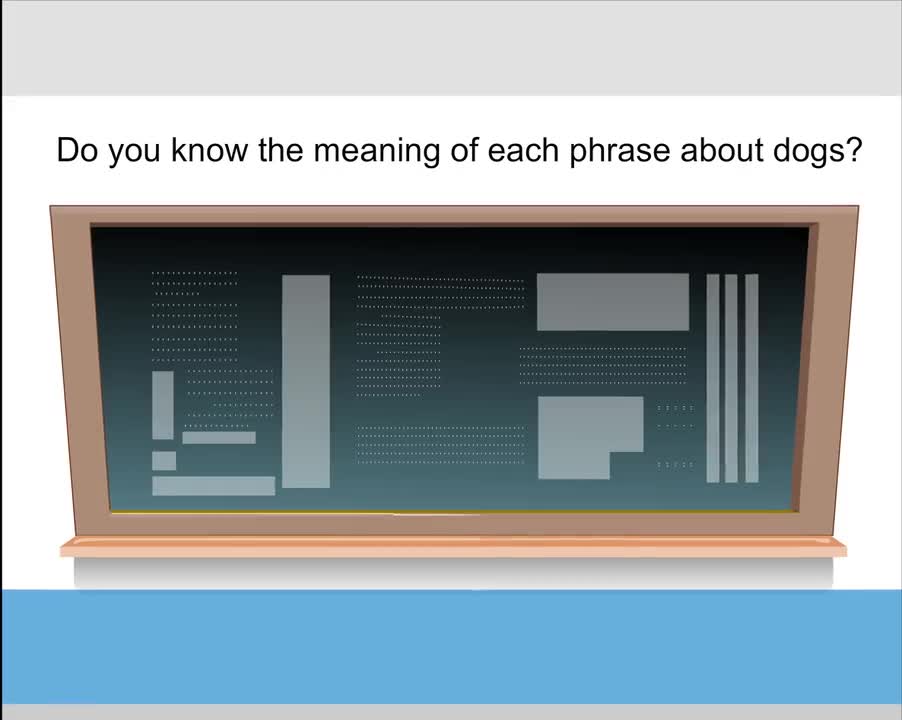 Unit 3 Topic 2 Section C