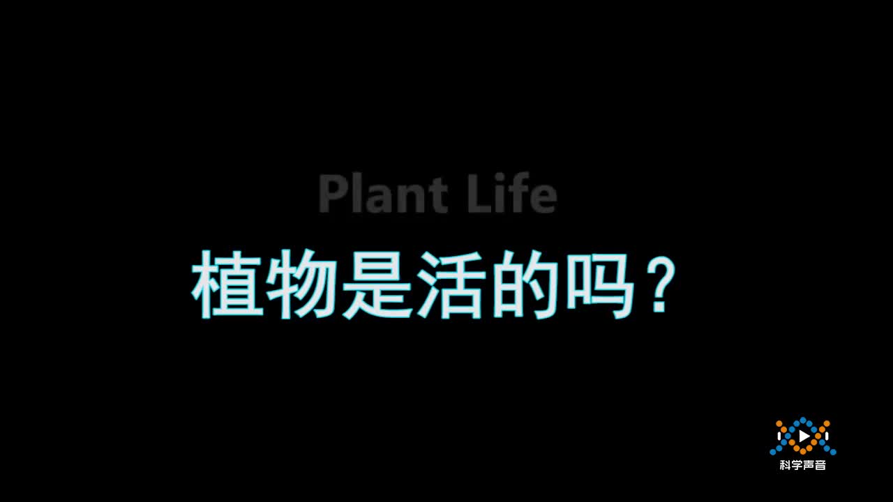 (05)5-1植物是活的吗