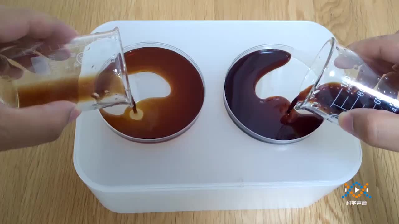 (03)教科版二下2-3-1观察与比较