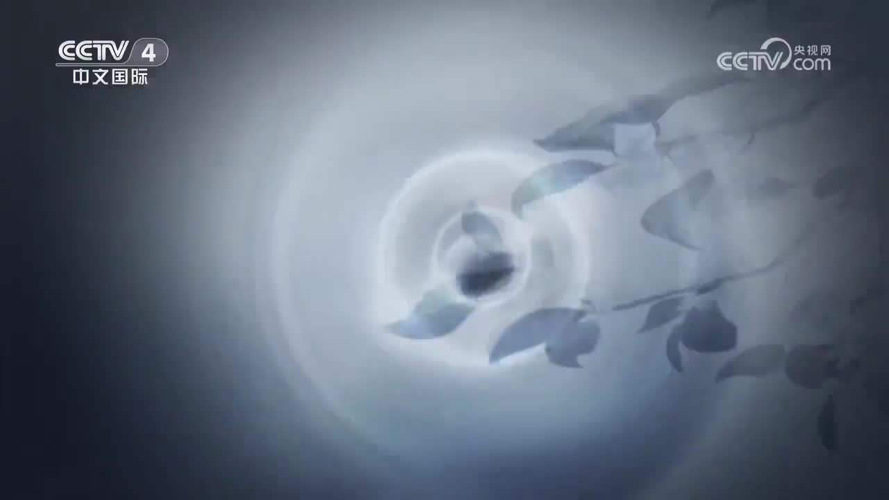 第7集 文化·民心相通