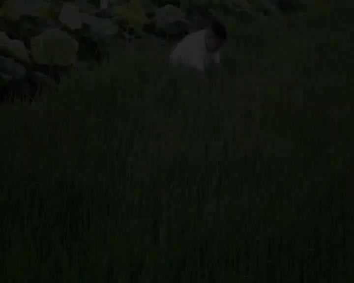 亲家遇着变冤家（毛家超 马丽波）