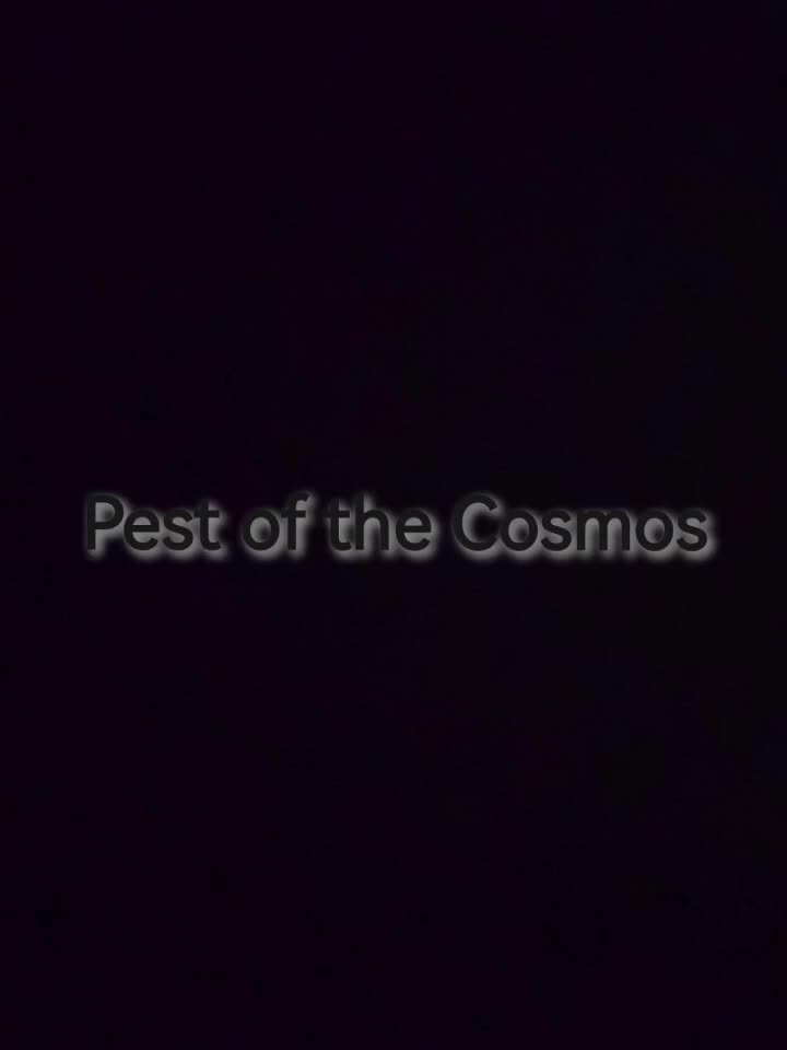 泰拉瑞亚Calamity模组 寰宇祸患--Pest of the Cosmos（星神游龙）