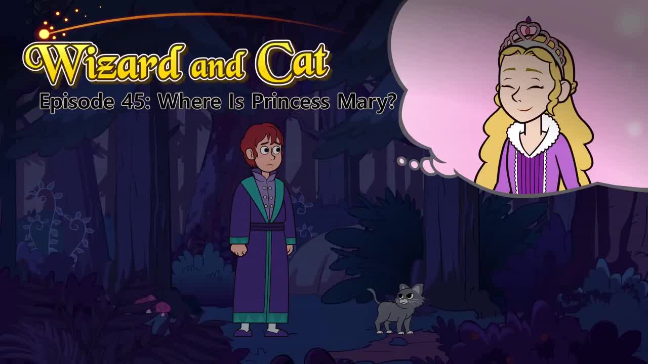 045_Wizard and Cat 45_Where Is Princess Mary
