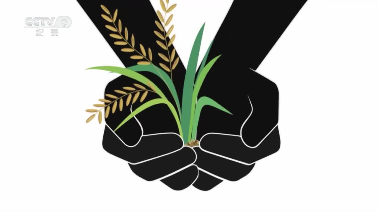 第4集 给你一朵小红花