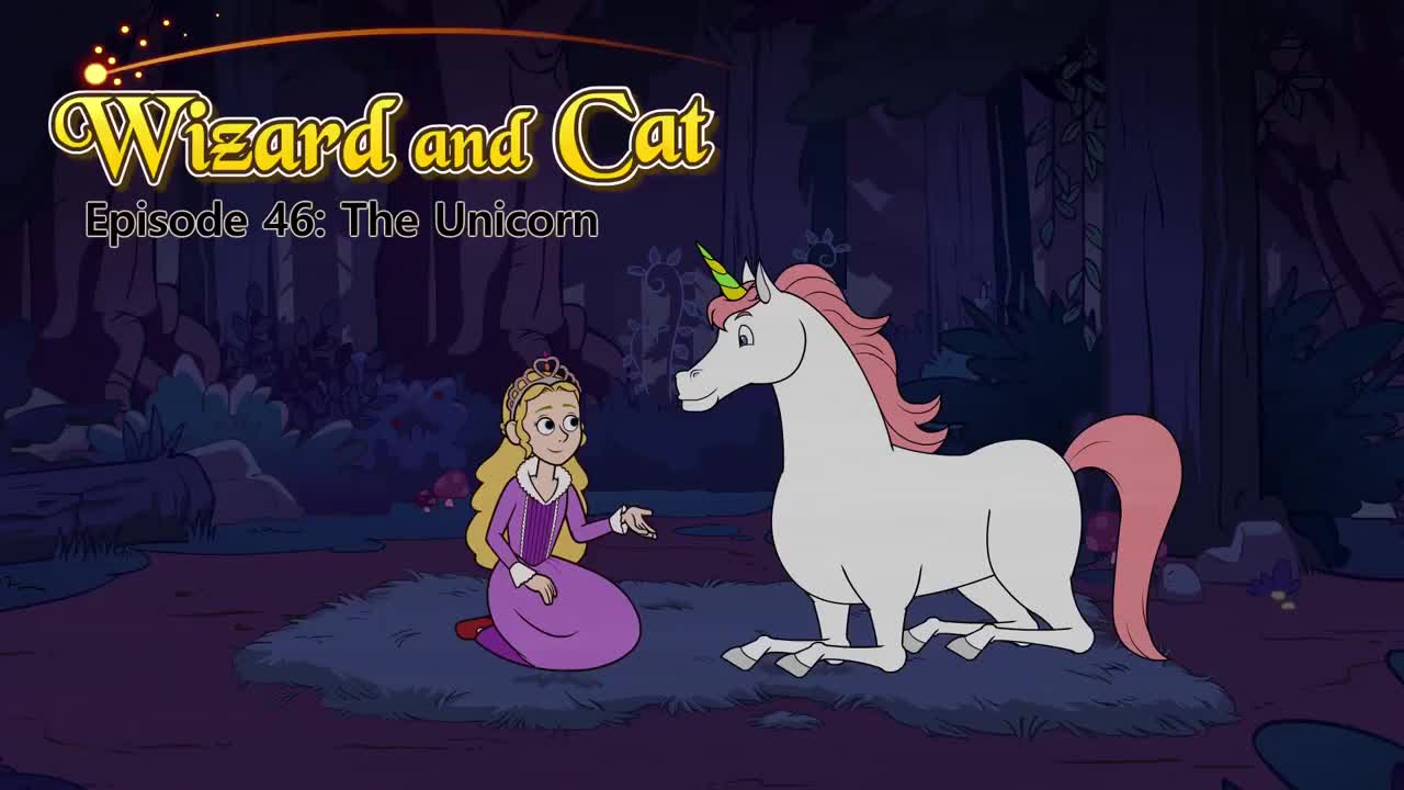 046_Wizard and Cat 46_The Unicorn