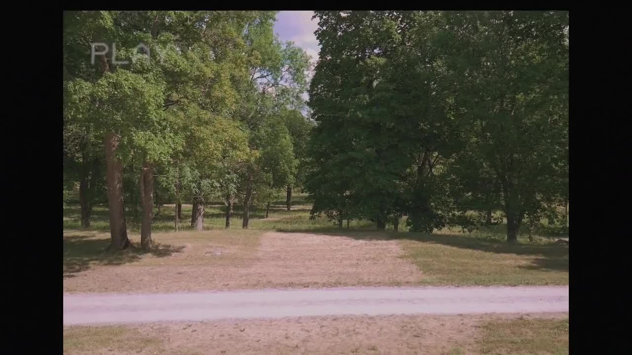 1. Dear sister, I messed up