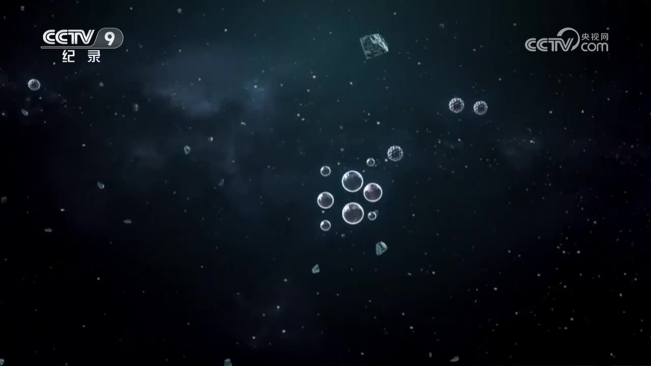 第7集 小小多面手