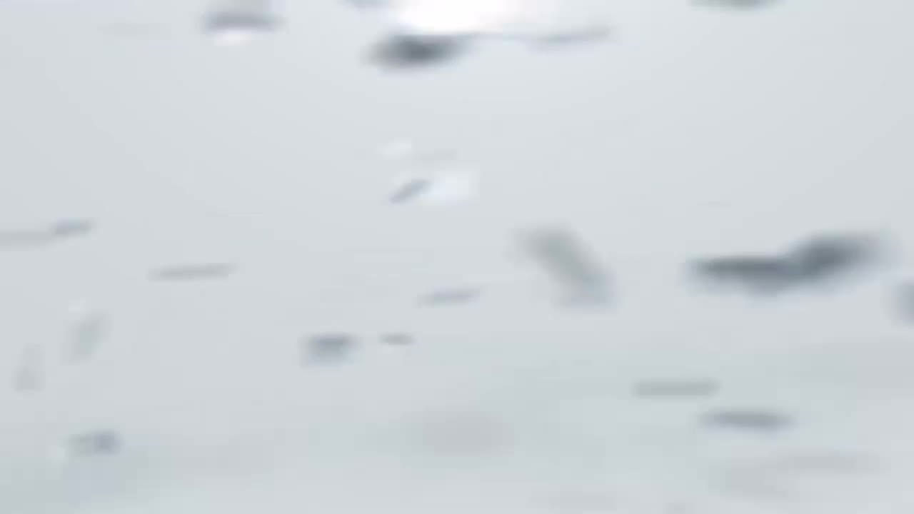 《Crazy Form》中字MV