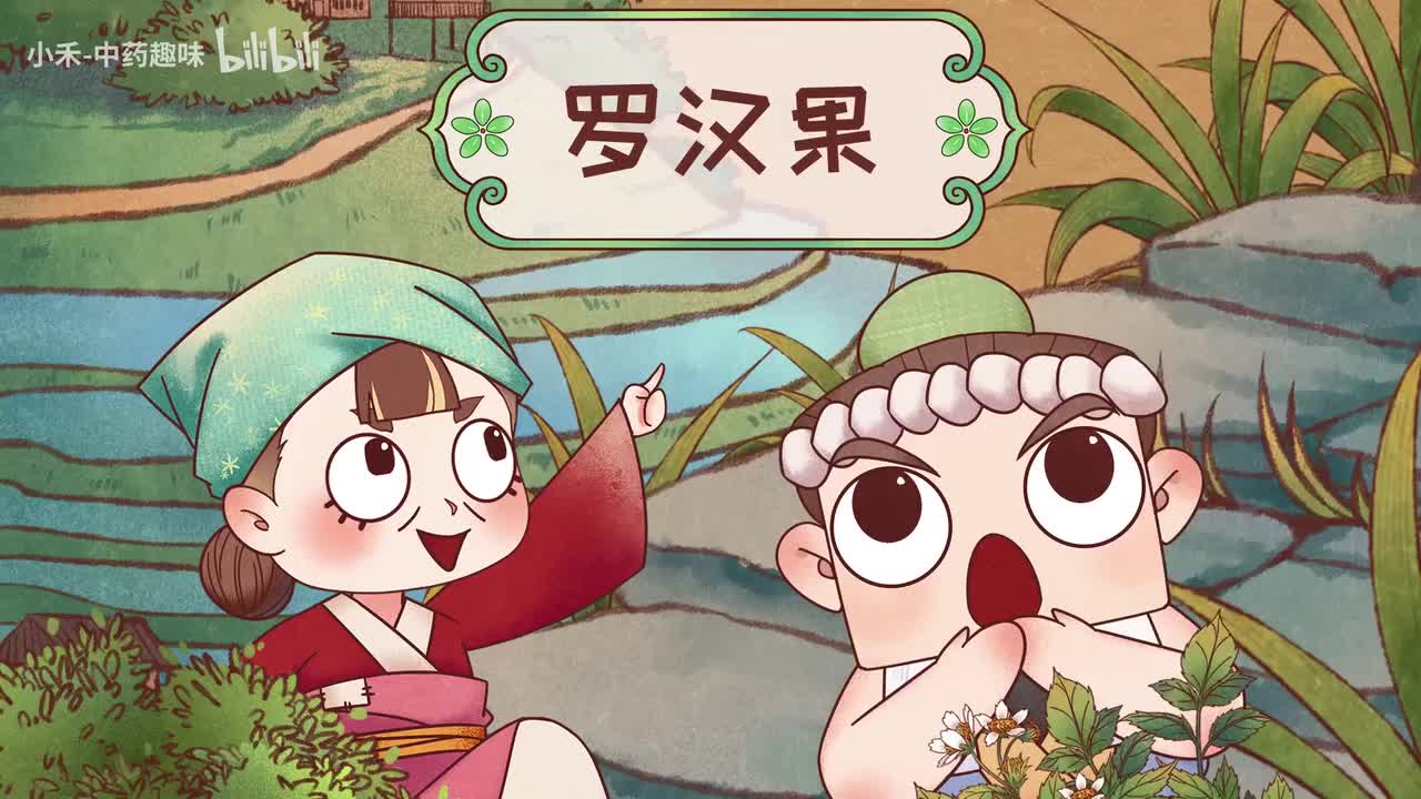 S01E09 罗汉果