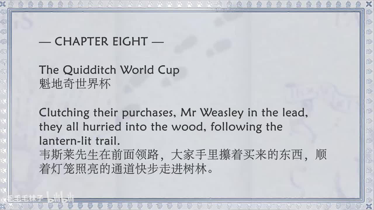 08 The Quidditch World Cup