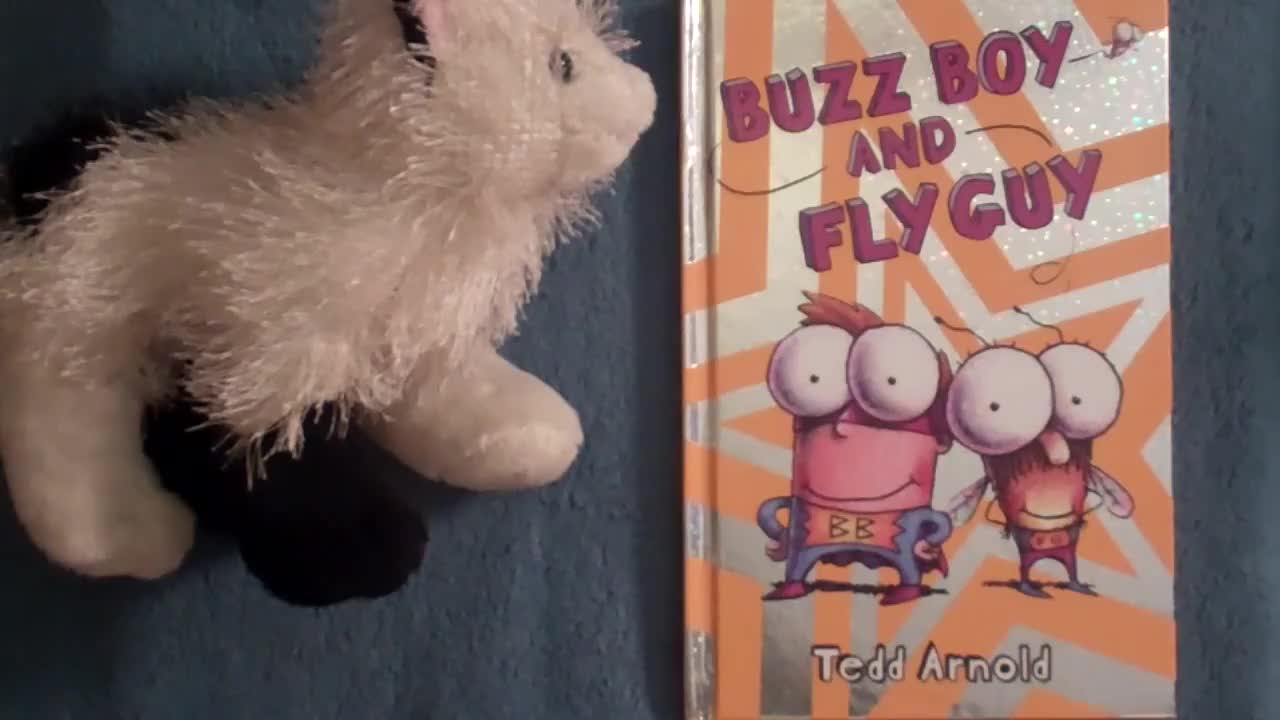 Fly guy 苍蝇小子【09】Buzz Boy and the Fly Guy 外教精讲