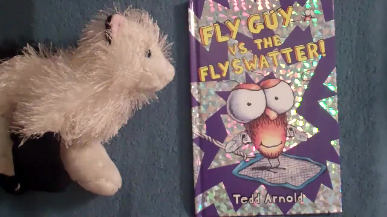 Fly guy 苍蝇小子【10】Fly Guy Vs. the Flyswatter! 外教精讲