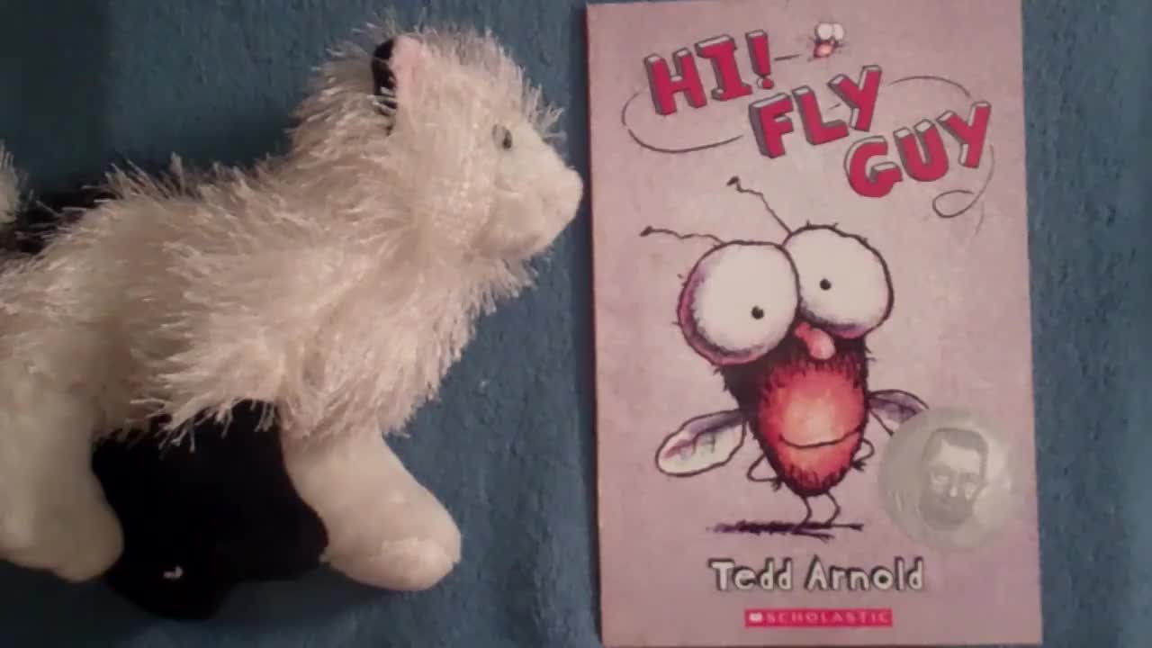 Fly guy 苍蝇小子【01】Hi, Fly Guy 外教精讲