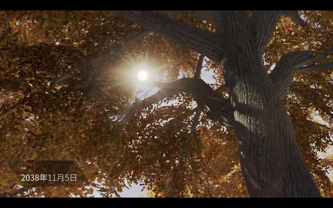 3.颜料-Markus初登场