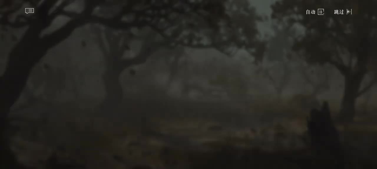 16【见我所见】