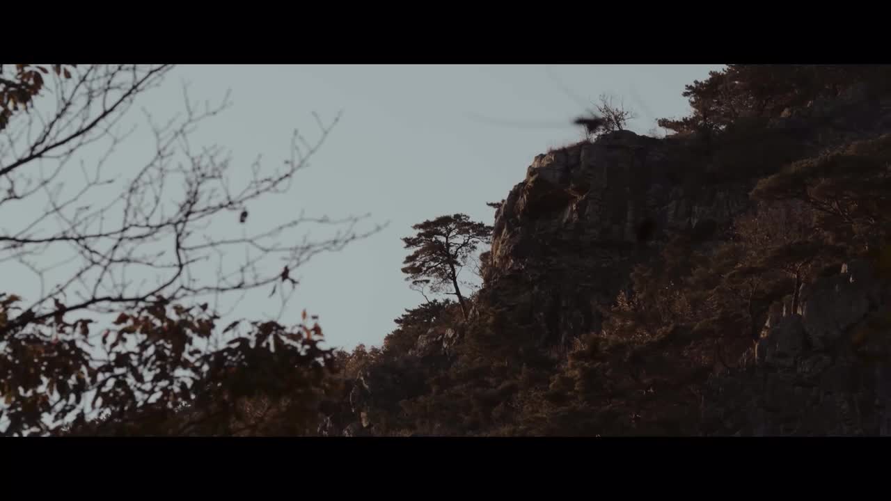 【四强赛DAY2】LEGENDS NEVER DIE