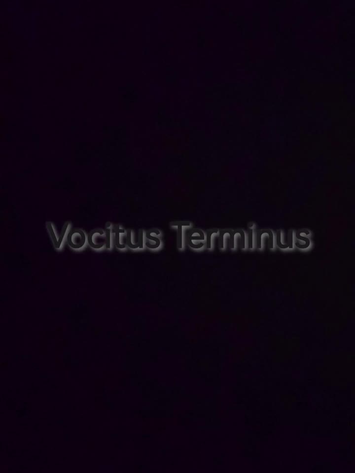 泰拉瑞亚Calamity模组（Infernum） 炼狱之终--Vocitus Terminus（始源妖龙）