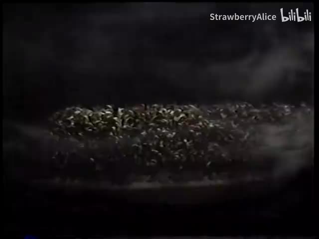 帕特里克·威尔森 Patrick Wilson在音乐剧奥克拉荷马Oklahoma!中演唱：哦，多美的早晨 Oh What A Beautiful Morning