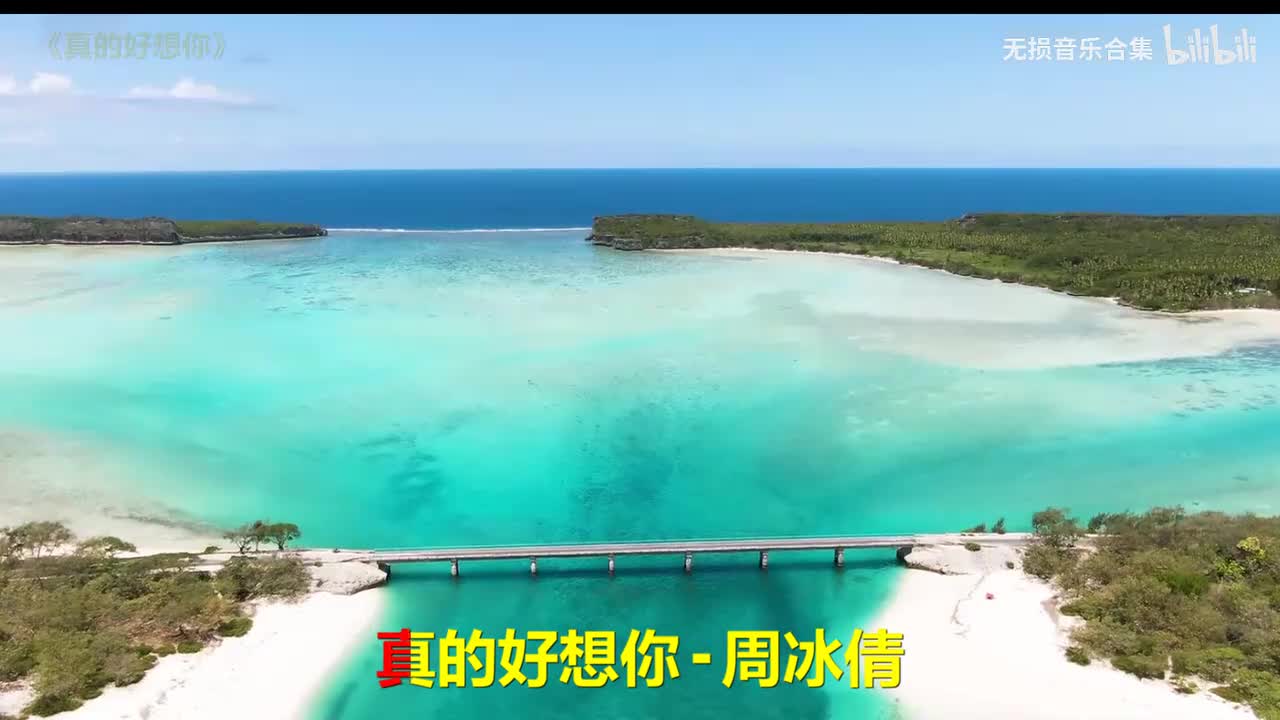 050. 周冰倩 - 真的好想你