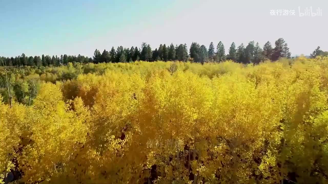 特别的爱给特别的你 - 张玮伽