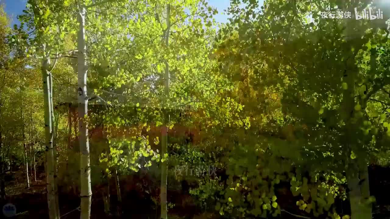 别让我一个人醉 - 花姐