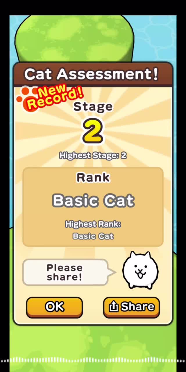 猫咪大寻宝 新记录