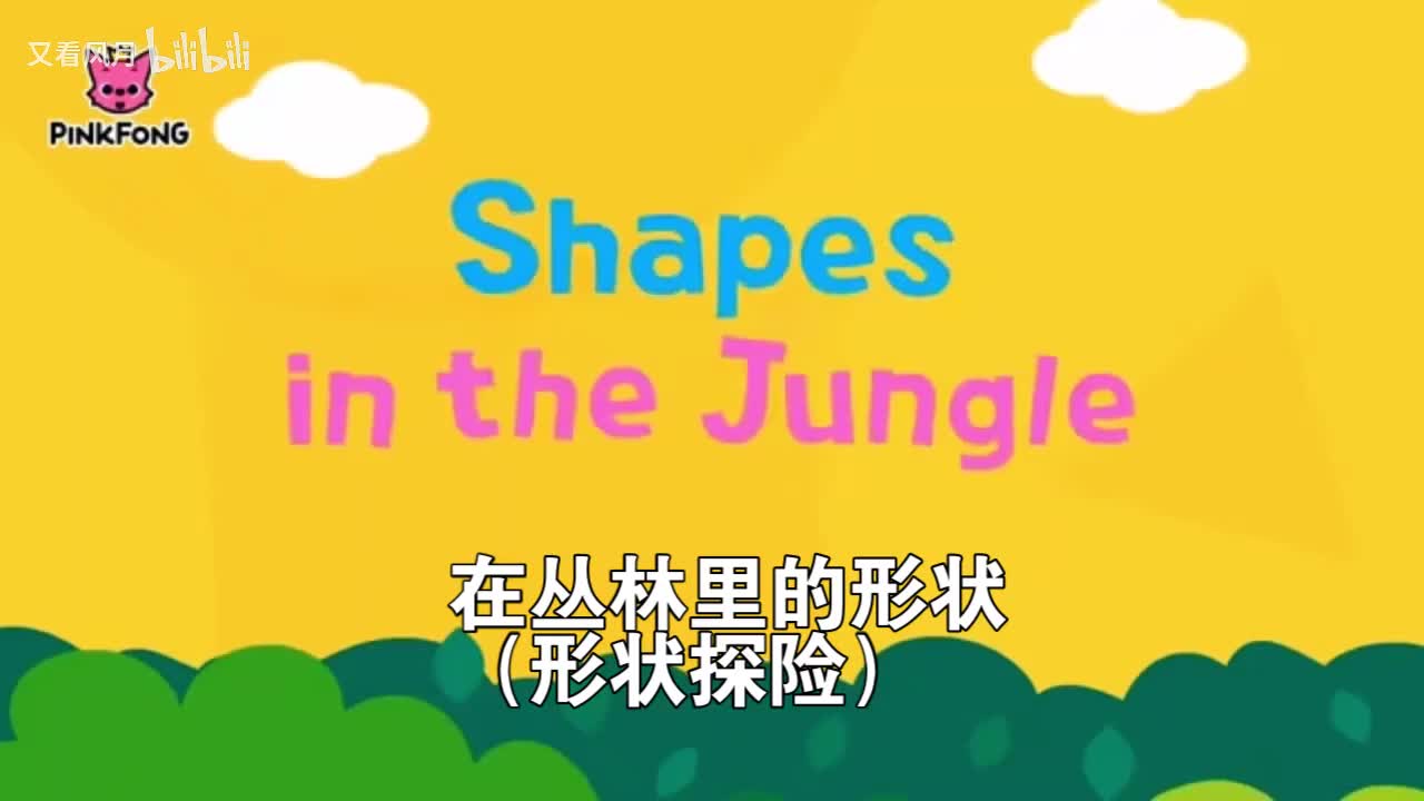 09-Shapes in the Jungle