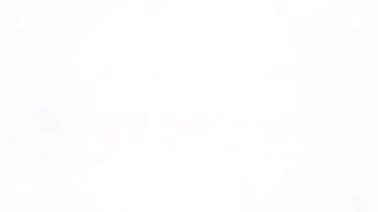 アイディスマイル