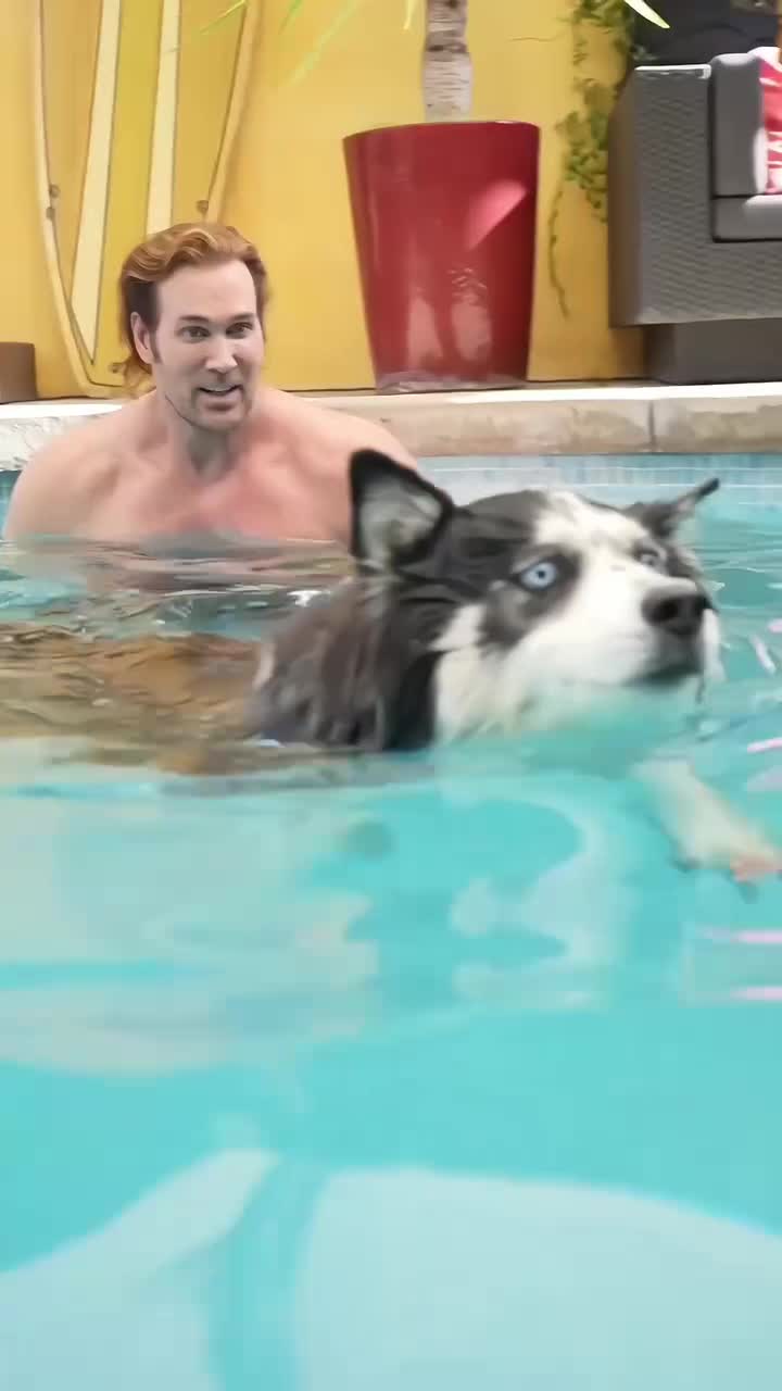 大力王＆儿子＆狗子在泳池丨大力王＆狗子在海边