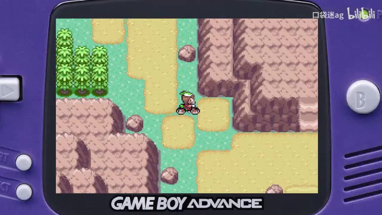 沙漠幻影之塔-橙华道馆