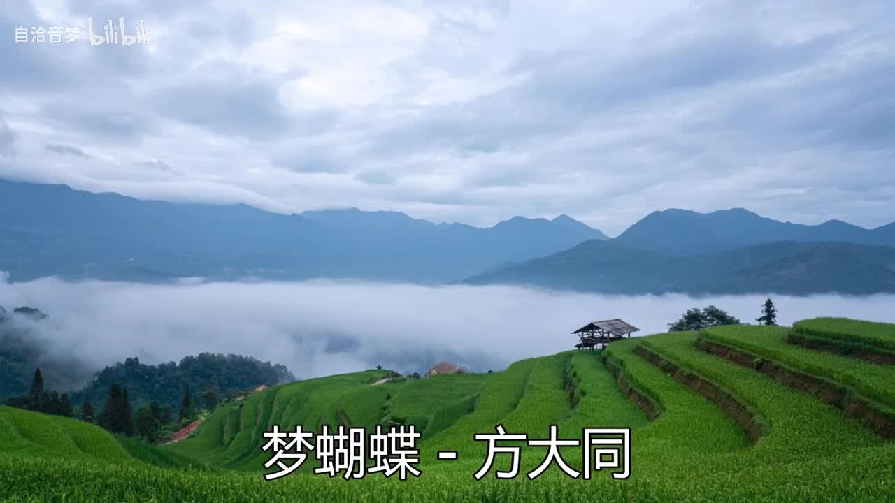 方大同_梦蝴蝶