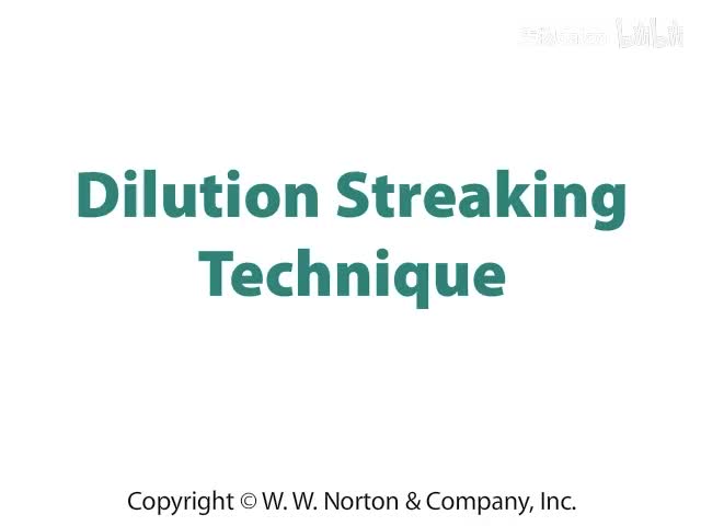 Dilution Streaking Technique