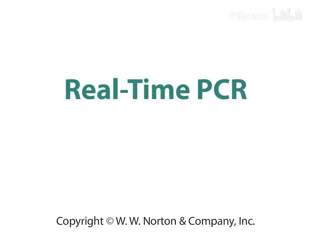 Real-Time PCR