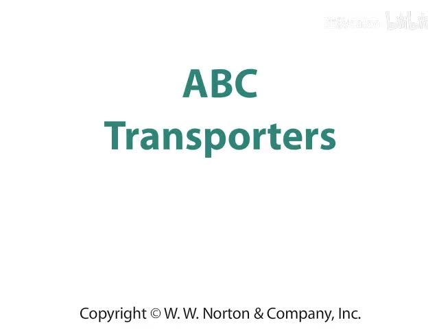 ABC Transporters