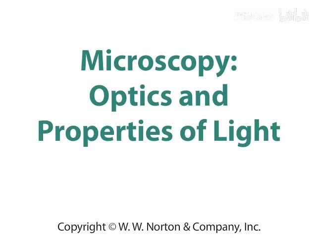 Microscopy Optics and Properties of Light