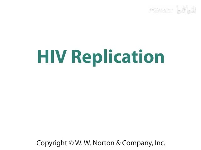 HIV Replication