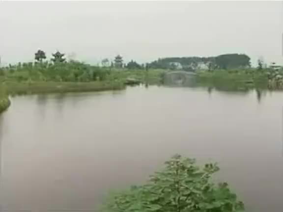 黄梅戏《赌妻还妻》—经典系列剧_高清