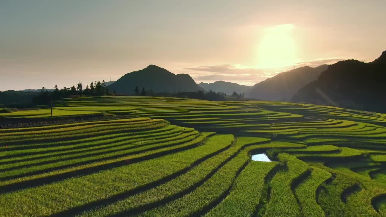 T25P 农业无人飞机