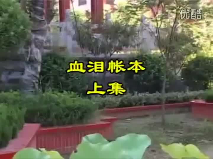 黄梅戏《血泪帐本》全剧_高清