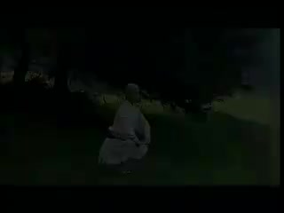 少林金刚拳 教学视频