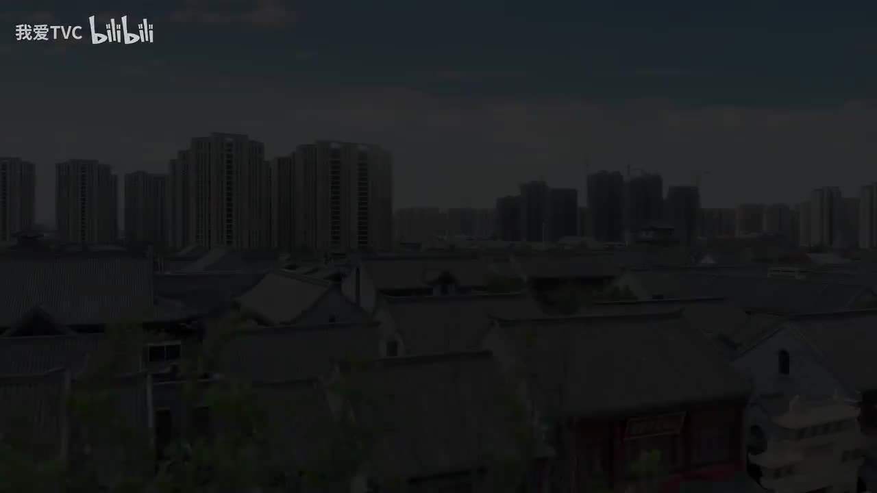 食品-和丰德狮子头.A0258.我爱TVC