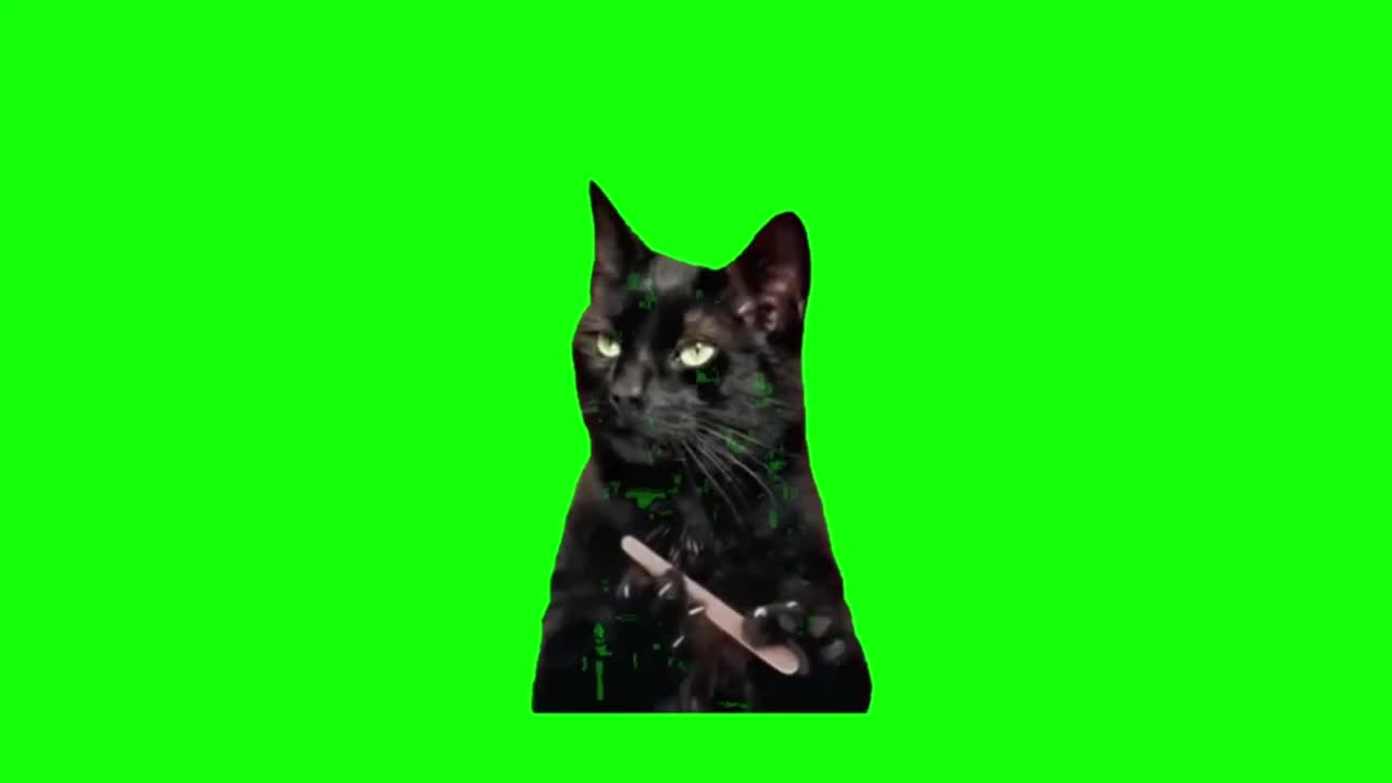 黑猫磨指甲（有声）