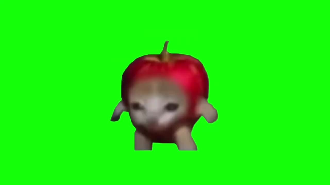 苹果猫跑步（有声）