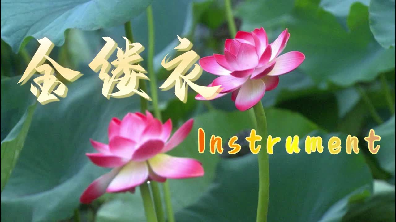 甄嬛传 插曲 金缕衣(Instrumental)