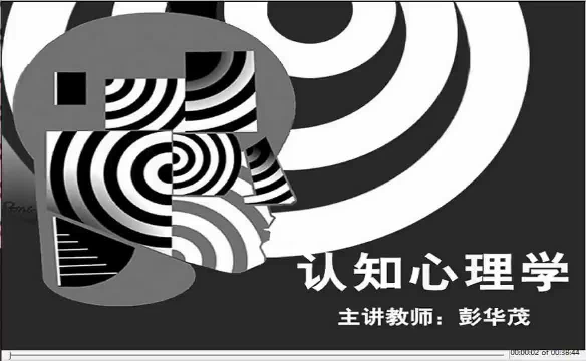 第二章：知觉与模式识别2