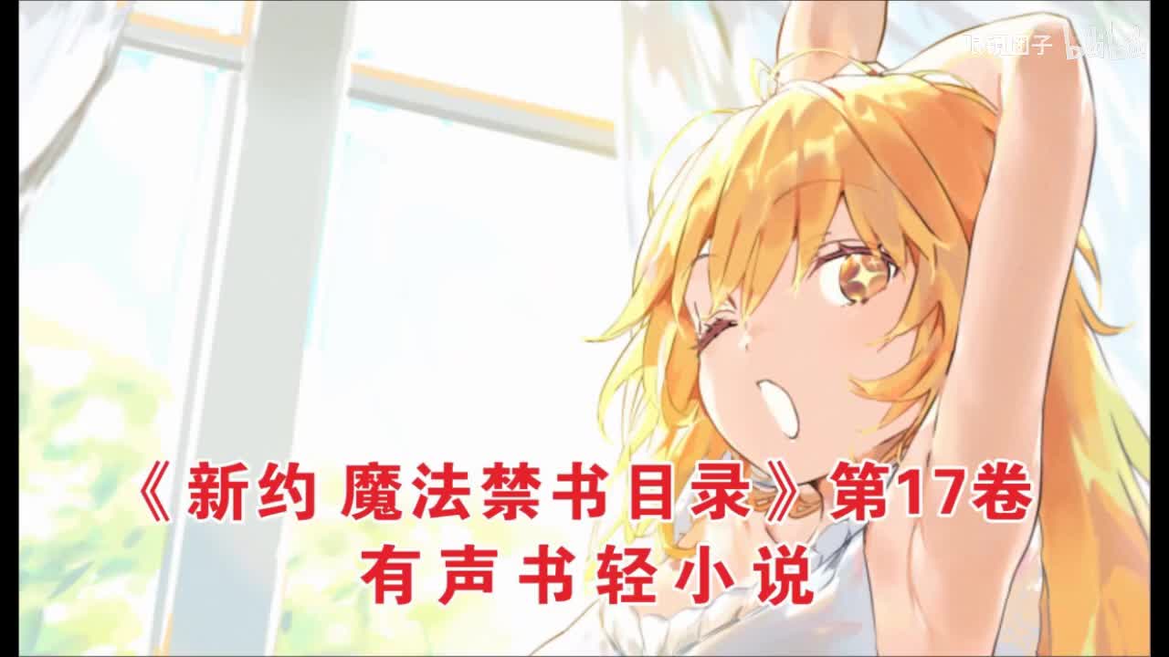 改新约目录17卷