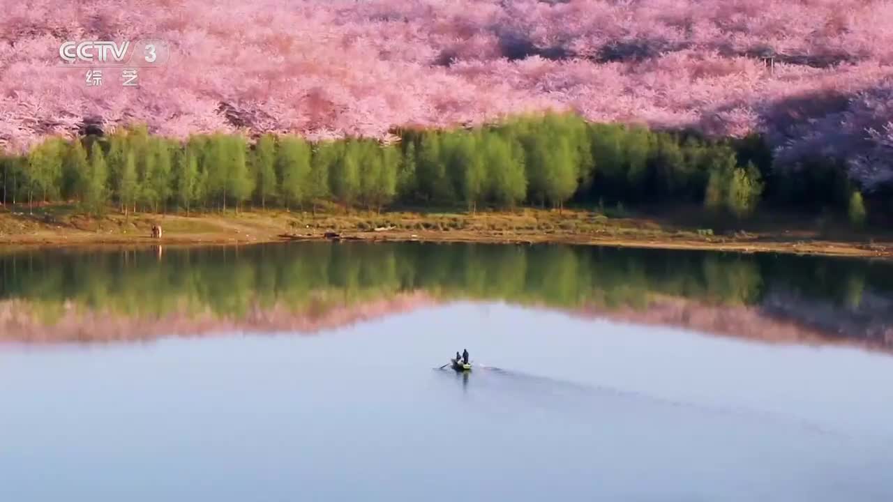 03 2024春季包装-ID1（花开中国） 10s