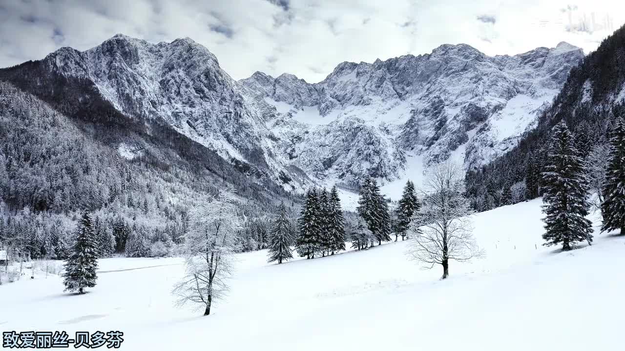 06.致爱丽丝-贝多芬