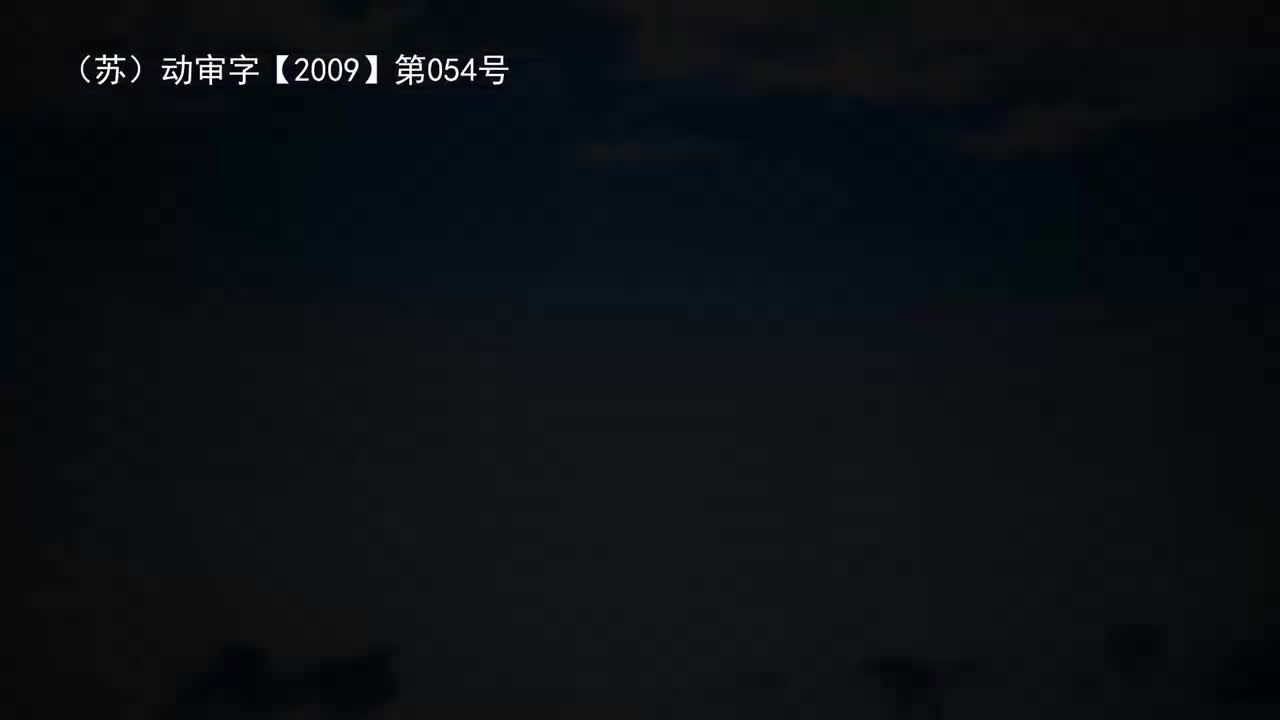 30 向日葵和石头